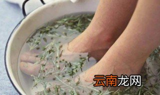 艾叶泡脚要煮还是直接放热水里 艾叶泡脚怎么泡