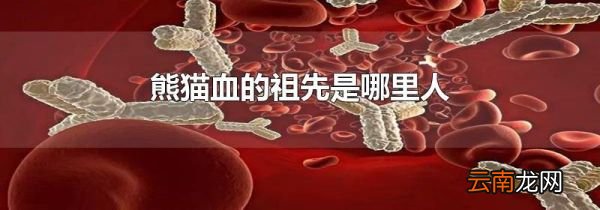 熊猫血的祖先是哪里人