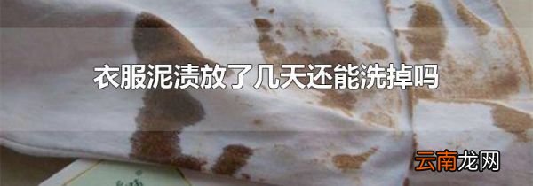 衣服泥渍放了几天还能洗掉吗