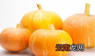 板栗瓜怎样选 板栗如何挑选