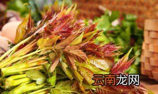 什么时候是吃香椿芽的最佳时间 啥时候是吃香椿芽的最佳时间