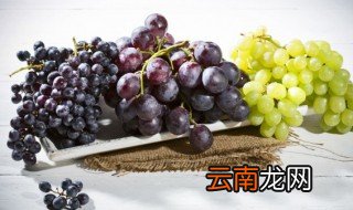 中国种植葡萄起源于什么朝代 中国中原种葡萄始于什么朝代