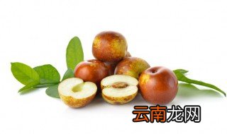 怎样挑选鲜枣又脆又好吃 脆枣怎么挑选好吃又甜
