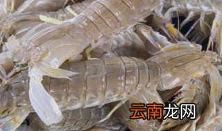 什么季节吃皮皮虾是最佳时间 皮皮虾哪个季节吃好