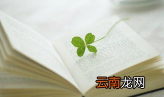 用是也是造句 用是也是如何造句
