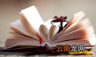 是也是怎么造句 是也是造句介绍