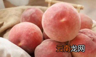 水蜜桃有毛吗 水蜜桃有没有毛