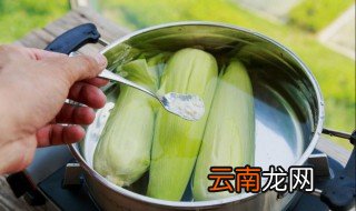 煮玉米放小苏打的作用 煮玉米放小苏打有什么作用