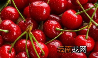 大樱桃树什么时间开花 大樱桃树什么时候开花