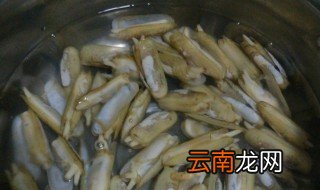 蛏干的泡发方法 蛏干的泡发方法分享