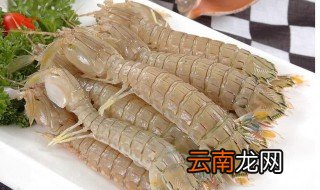 皮皮虾怎么处理虾线 皮皮虾处理虾线方法介绍