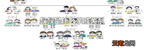 叔叔是什么亲戚关系