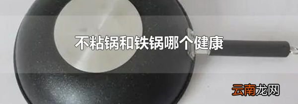 不粘锅和铁锅哪个健康