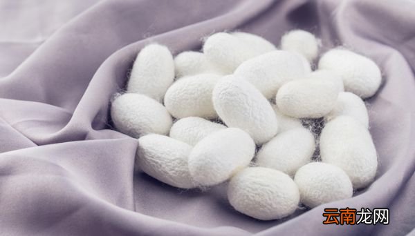 雪白雪白的东西有哪些 雪白雪白的东西有哪些啊