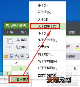 wps表格怎么筛选数据？