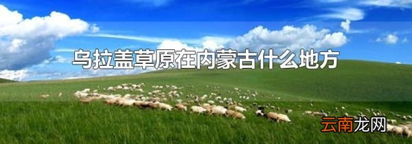 乌拉盖草原在内蒙古什么地方