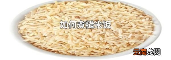 如何煮糙米饭