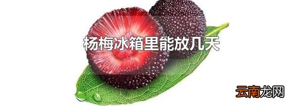 杨梅冰箱里能放几天