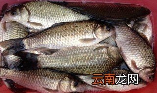 冬季鲫鱼窝料制作方法 冬季鲫鱼窝料做法