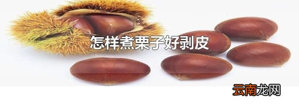 怎样煮栗子好剥皮