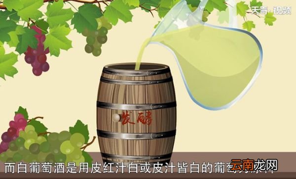 红葡萄酒和白葡萄酒的区别 红葡萄酒和白葡萄酒的区别是什么