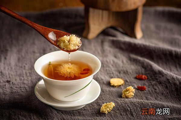 菊花蒲公英泡水的功效与作用 菊花蒲公英泡水的禁忌