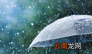 防暴雨安全小常识 防暴雨安全小常识有哪些