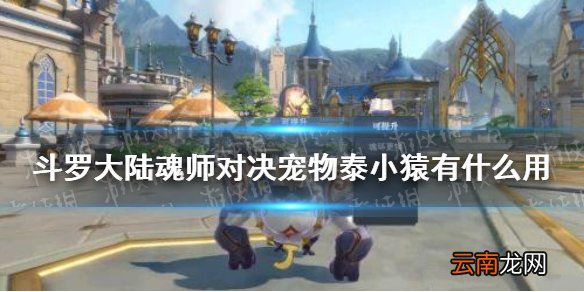 斗罗大陆魂师对决宠物泰小猿有什么用 魂师对决宠物泰小猿作用介绍