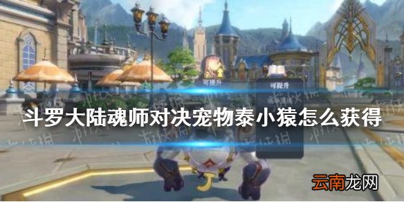 斗罗大陆魂师对决宠物泰小猿怎么获得 魂师对决泰小猿获取方法
