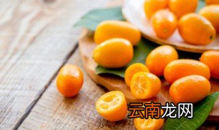 金桔在四川能种吗 小金桔四川可以种植吗