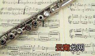 什么是复调音乐 复调音乐的解释