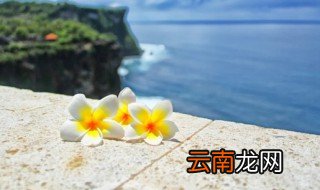 可爱介绍自己家乡的句子 适合介绍家乡的句子