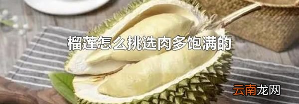 榴莲怎么挑选肉多饱满的