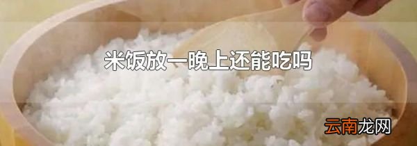 米饭放一晚上还能吃吗
