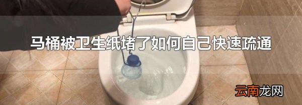 马桶被卫生纸堵了如何自己快速疏通