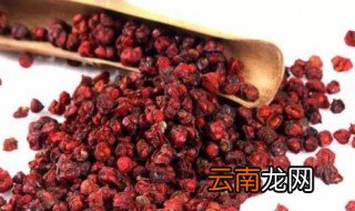 五味子一天吃多少合适 五味子一天吃几个合适