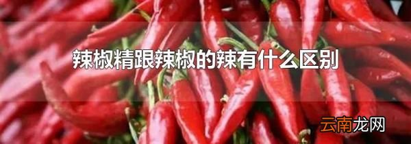 辣椒精跟辣椒的辣有什么区别
