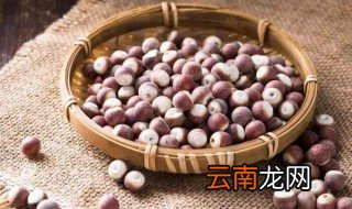 鸡头米是什么 鸡头米是啥
