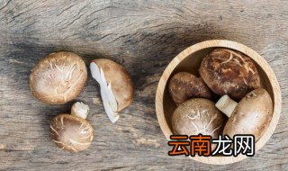 洗香菇的简单方法 教你洗香菇的简单方法
