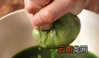 做青团不放澄粉可以吗 做青团不放澄粉可不可以