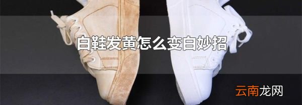 白鞋发黄怎么变白妙招