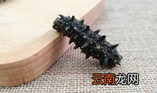 干海参制作的方法 干海参做法