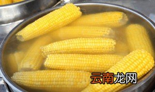 如何制作煮玉米 超级简单的煮嫩玉米做法分享