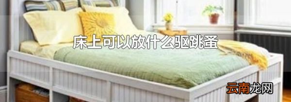 床上可以放什么驱跳蚤