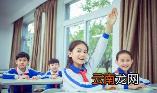 daily是什么意思 daily的意思