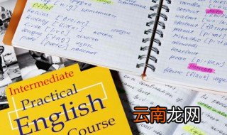 meta是什么意思 meta的意思