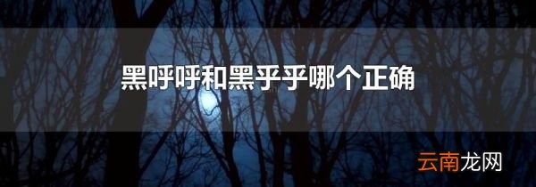 黑呼呼和黑乎乎哪个正确