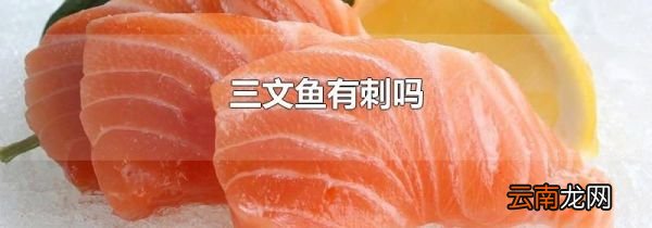 三文鱼有刺吗