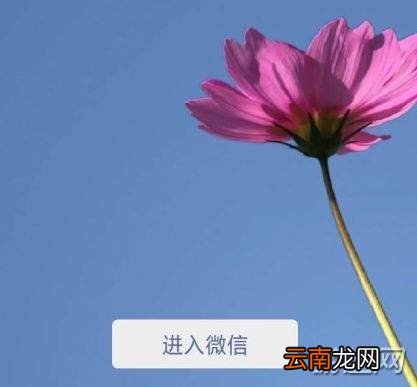 2018微信年账单在哪看？2018微信年账单查看方法一览