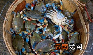 吃了死的青蟹怎么办 吃了死的青蟹咋办